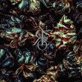 Crone - Gotta Light? - Music CD
