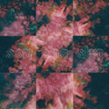 Say She She - Prism - Music CD