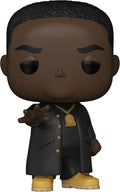 Funko Pop! Albums: - Biggie Smalls - Born Again - Collectibles