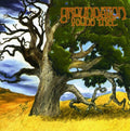 Groundation - Young Tree - Music CD