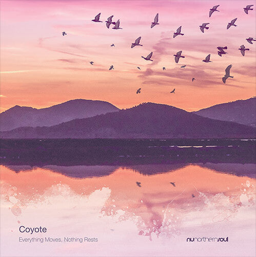 Coyote - Everything Moves Nothing Rests - Vinyl Record