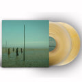 Devils Witches - In All Her Forms - Gold/clear Marbled - Vinyl Record
