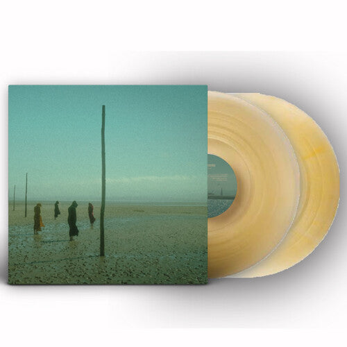 Devils Witches - In All Her Forms - Gold/clear Marbled - Vinyl Record