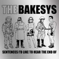 Sentences I'd Like To Hear The End Of [LP] Vinyl Record