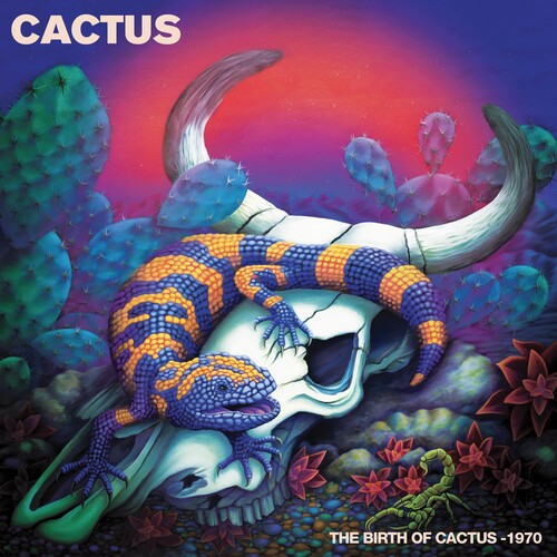 Cactus - Birth Of Cactus - 1970 - Vinyl Record