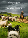 Transhumance: Routes To A Disappearing Life - Transhumance: Routes To A Disappearing Life - DVD