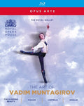 Art Of Vadim Muntagirov / Various - Art Of Vadim Muntagirov / Various - Blu-ray