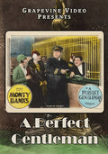 Perfect Gentleman (1928) - Perfect Gentleman (1928) - DVD