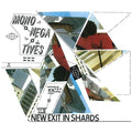 Mononegatives - New Exit In Shards - Vinyl Record