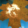 Force Of The Wind [LP] Vinyl Record