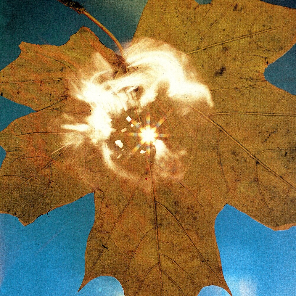Force Of The Wind [LP] Vinyl Record