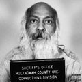 Robert - Orange Is The New Black - Vinyl Record