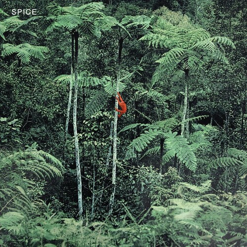 Spice - Spice - Grey