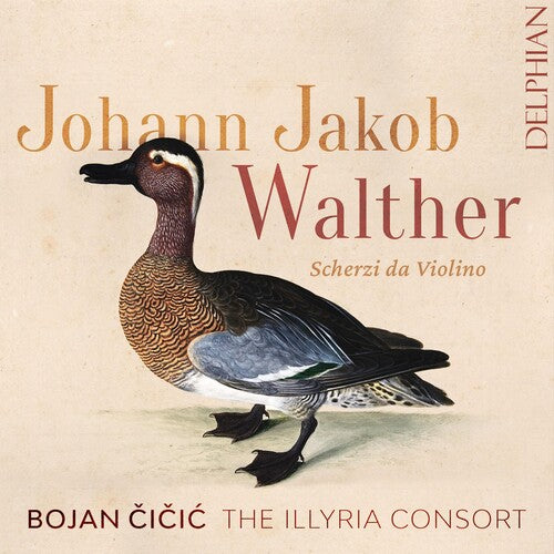 Cicic,bojan - Johann Jakob Walther: Scherzi Da Violino Solo - Music CD