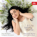 Albrici / Blazikova / Semeradova - Lily Among Thorns - Music CD