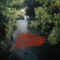 Surprise Chef - Education & Recreation [LP]