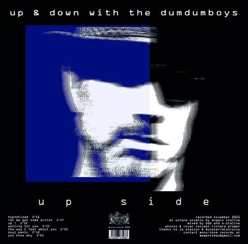Dum Dum Boys - Up & Down With The Dum Dum Boys - Vinyl Record