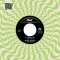 Allison,mario / Su Combo - Boogashake / Descargando - Vinyl Record