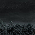 Besnard Lakes Are The Prayers For The Death Of [LP] Vinyl Record