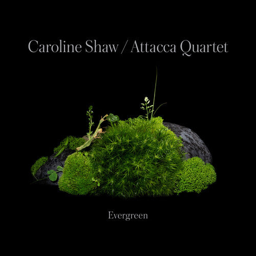 Shaw,caroline & Attacca Quartet - Caroline Shaw: Evergreen - Music CD