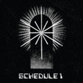 Schedule 1 - Schedule 1 - Vinyl Record