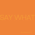 Say What - Say What - Vinyl Record