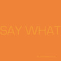 Say What [LP] Vinyl Record