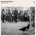 End Of The Road Presents: Between The Music / Var - End Of The Road Presents: Between The Music / Var - Vinyl Record