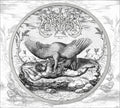 Colossloth - Promethean Meat - Music CD