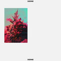 Dienne - Addio - Vinyl Record