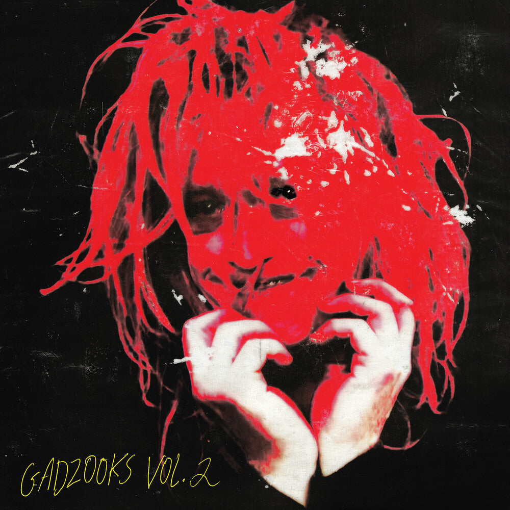 Gadzooks Vol. 2 [LP] Vinyl Record
