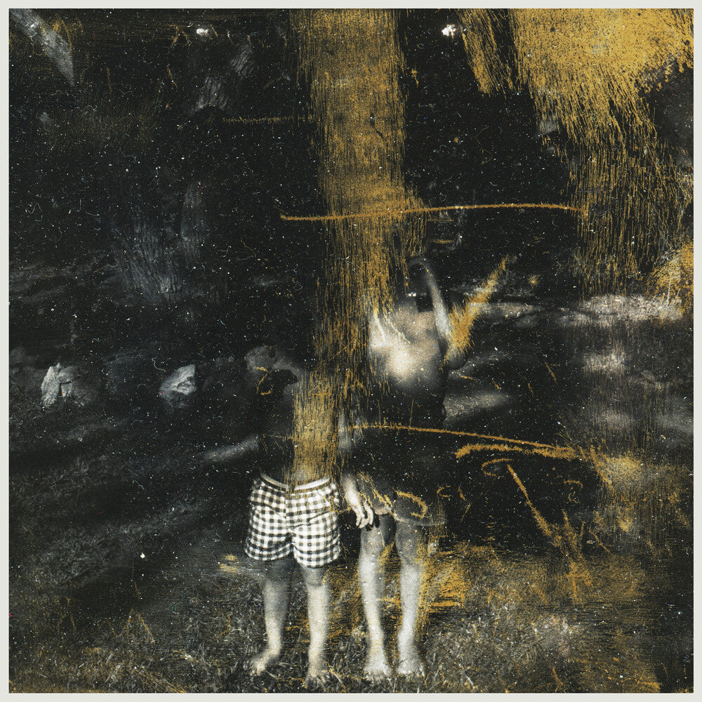Voids [LP] Vinyl Record