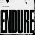 Special Interest - Endure - Vinyl Record