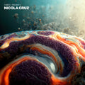 Cruz,nicola - Fabric Presents Nicola Cruz - Music CD