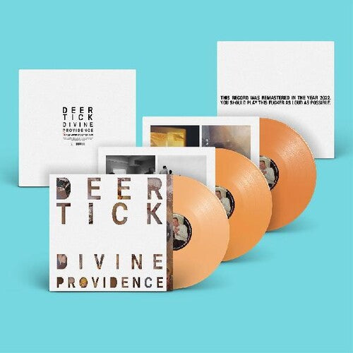 Deer Tick - Divine Providence - Vinyl Record