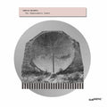 Coldwell,conflux - Phantomatic Coast - Vinyl Record