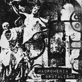 Macromenia - Brutalismo - Music CD