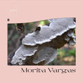 Vargas,morita - 8 - Vinyl Record