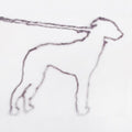 Yano,jonah - Portrait Of A Dog - Music CD
