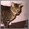 Wuorinen / Fedele / Palmer / Surplus Ensemble - Epithalamium - Music CD