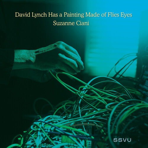 Ssvu - David Lynch Has A Painting Made Of Flies Eyes - Vinyl Record