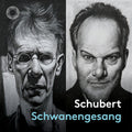 Schubert / Bostridge, Ian / Vogt,lars - Schwanengesang - Music CD