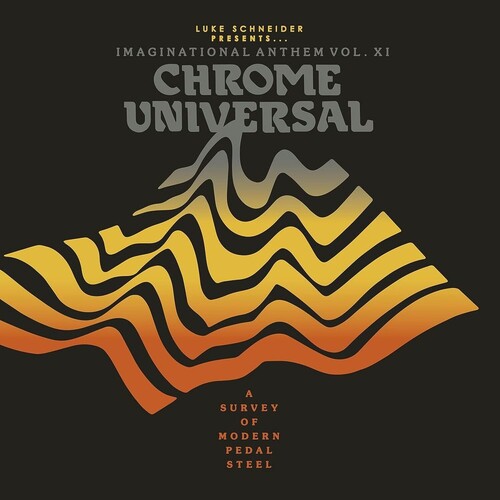 Luke Schneider Imaginational Anthem Xi / Var - Luke Schneider Presents Imaginational Anthem / Var - Vinyl Record