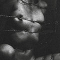 Clavicvla - Degeneracy Of The 5th Density - Music CD