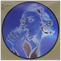 Madonna - Erotica - Vinyl Record
