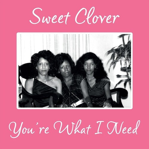 Sweet Clover - You're What I Need - Vinyl Record