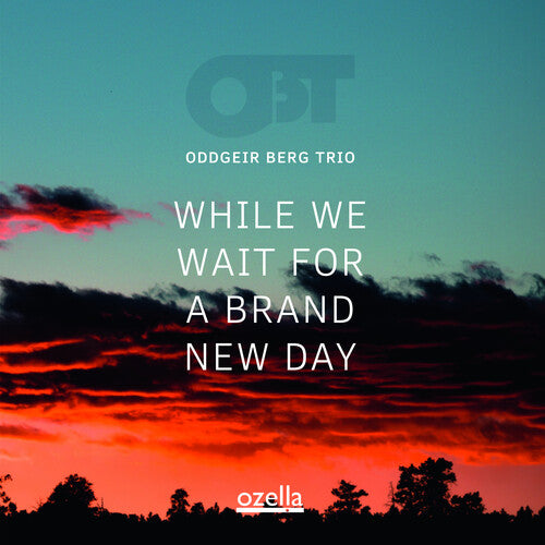 Oddgeir Berg Trio - While We Wait For A Brand New Day - Music CD