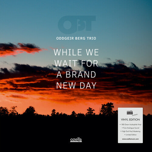 Oddgeir Berg Trio - While We Wait For A Brand New Day - Vinyl Record
