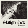 Malign Hex [LP] Vinyl Record