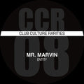 Mr Marvin - Entity - Vinyl Record